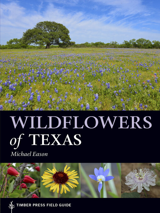 Title details for Wildflowers of Texas by Michael Eason - Available